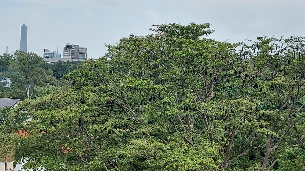 Отель Jays Guest 6B, Rajagiriya Colombo Sri Lanka Экстерьер фото